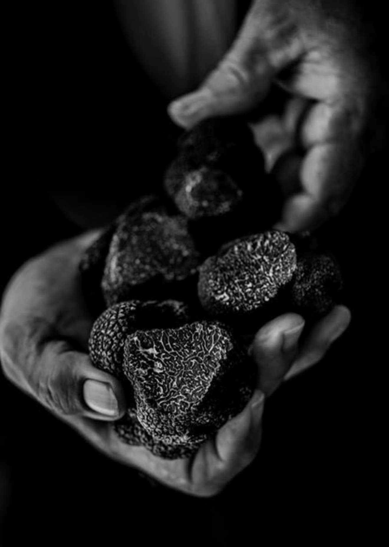 Gastronomie périgordine